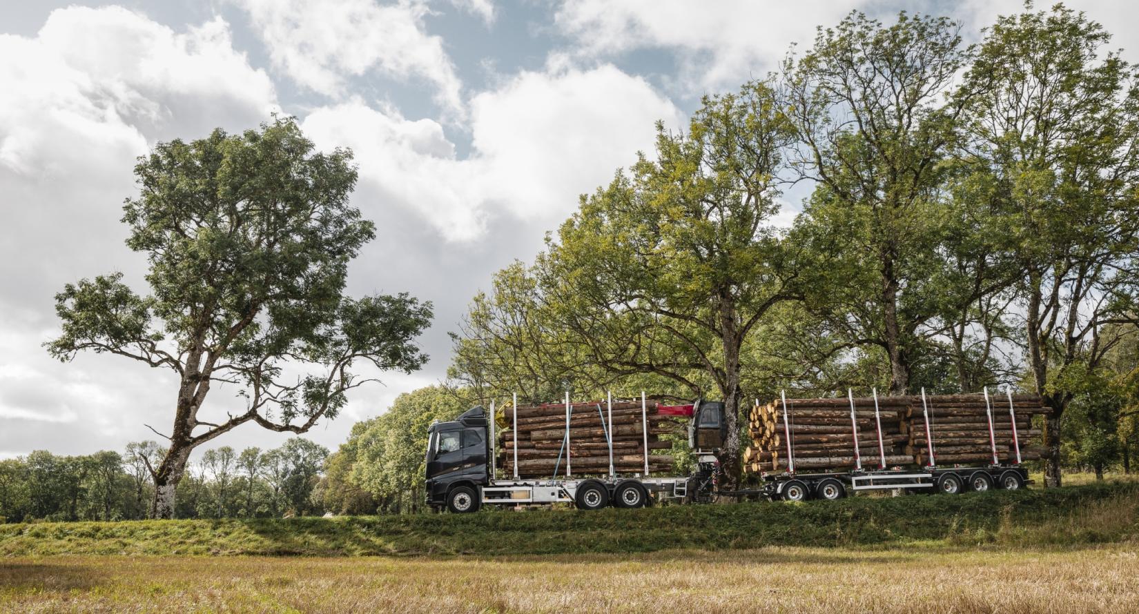 Nebim-Volvo-FH16-07072021-0020 Nebim-Volvo-FH16-07072021-0020